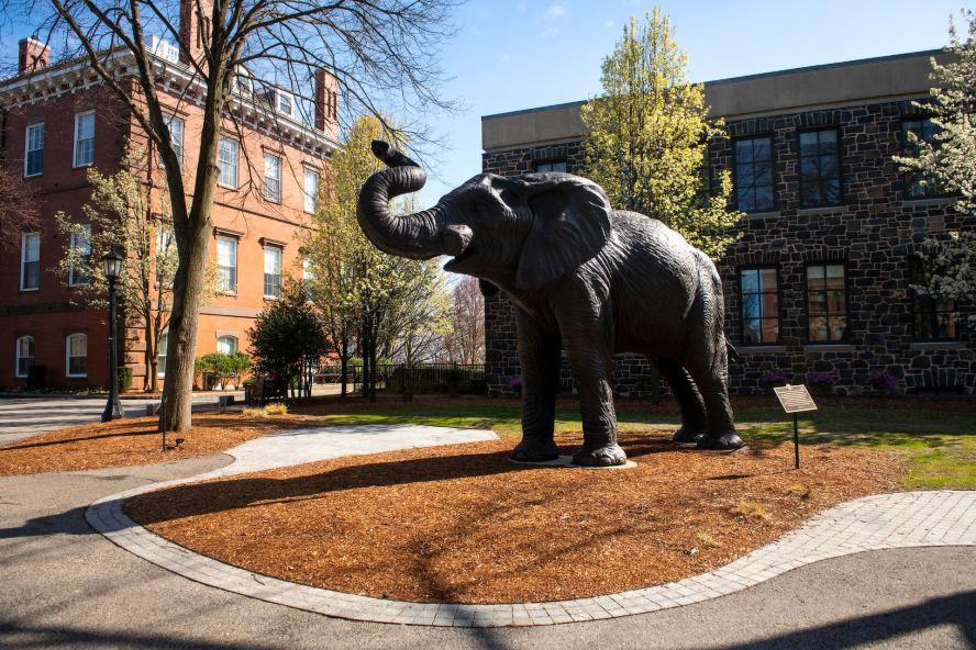 Tufts University Jumbo the Elephant statue
